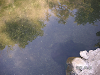 s_PICT0423_thumb.png